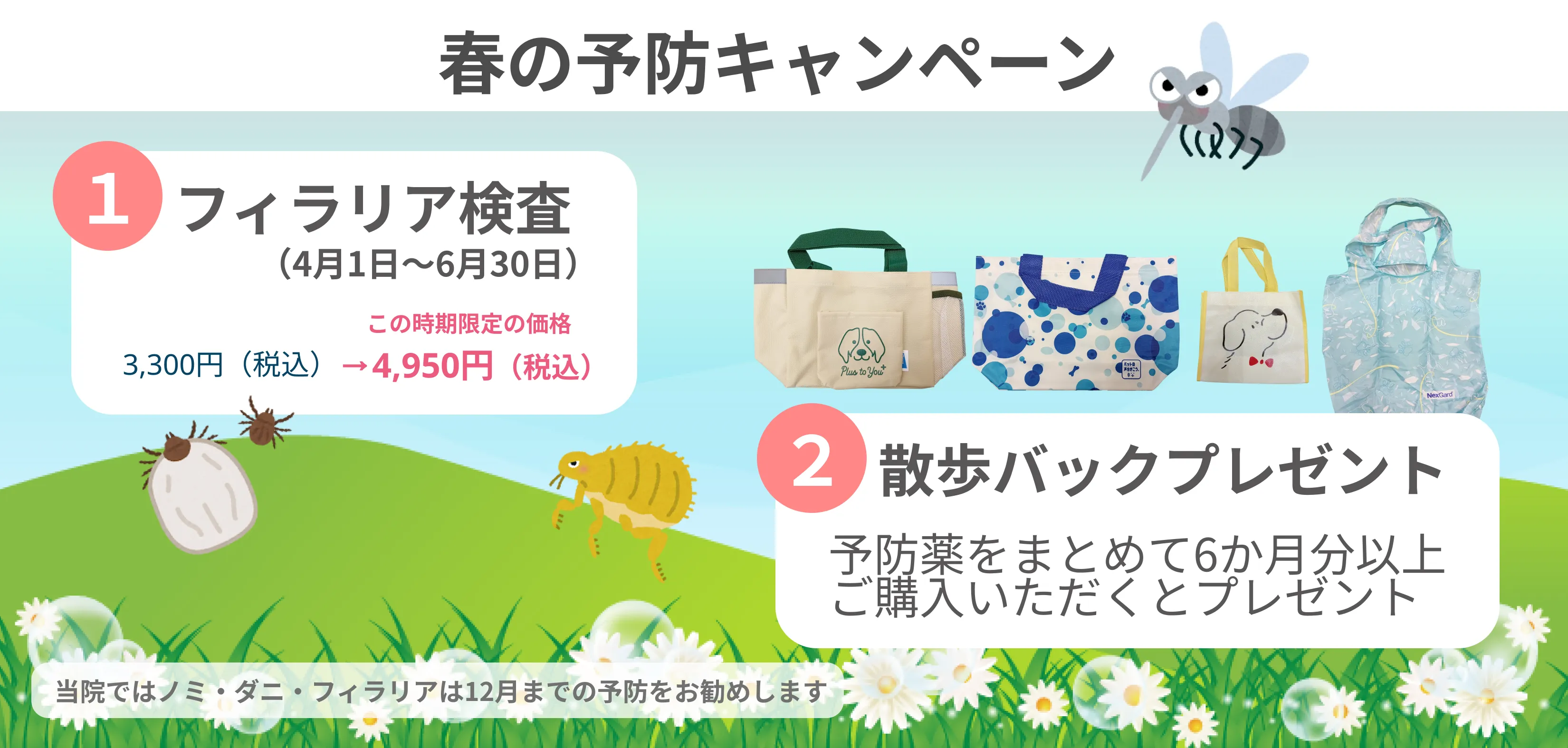 春の予防キャンペーン ①フィラリア検査（4月1日～6月30日） この時期限定の価格 1,650円（税込）②散歩バックプレゼント 予防薬をまとめて6か月分以上ご購入いただくとプレゼント 当院ではノミ・ダニ・フィラリアは12月までの予防をお勧めします