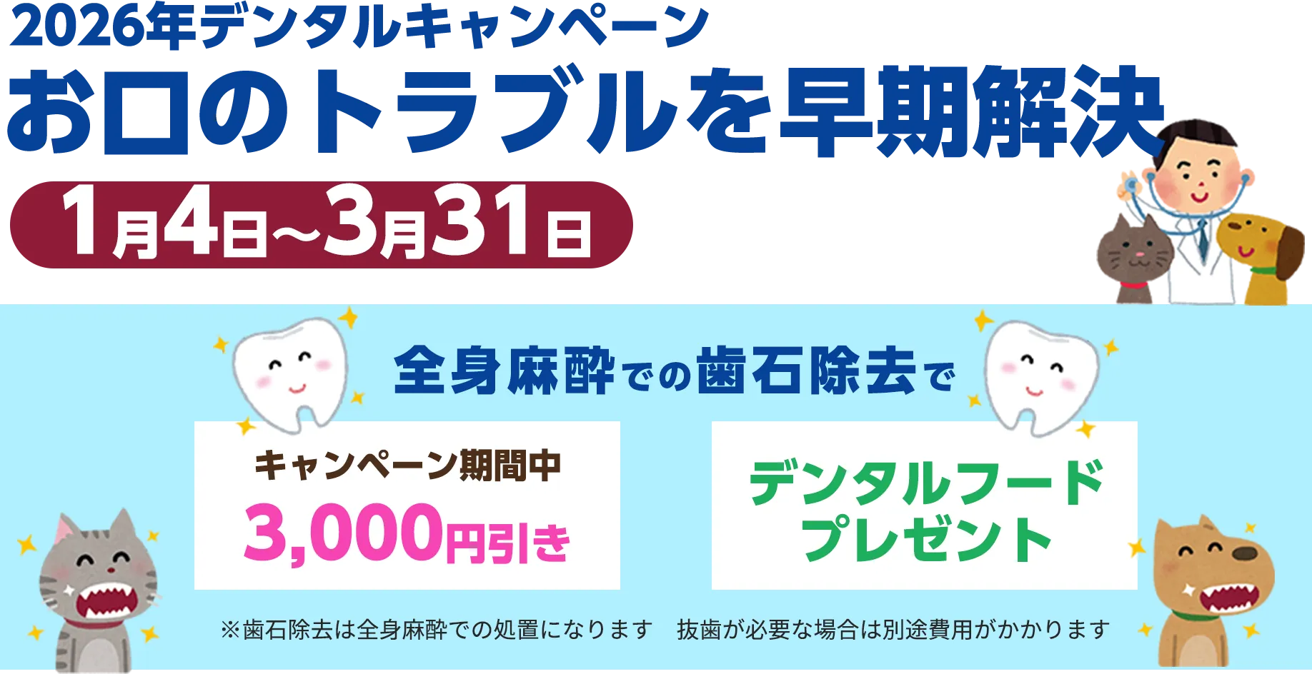 お口のトラブルを早期解決 2026年デンタルキャンペーン（1月4日～3月31日） 全身麻酔での歯石除去で◎キャンペーン期間中 3,000円引き◎デンタルフードプレゼント